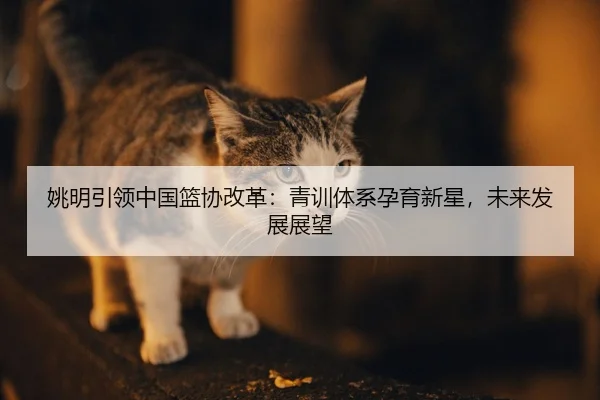 yao-ming-yin-ling-zhong-guo-lan-xie-gai-ge-qing-xun-ti-xi-yun-yu-xin-xing-wei-lai-fa-zhan-zhan-wang-2-537.jpg