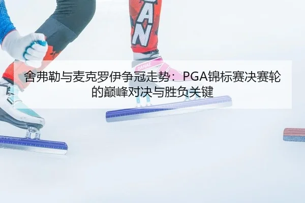 she-fu-lei-yu-mai-ke-luo-yi-zheng-guan-zou-shi-jin-biao-sai-jue-sai-lun-de-dian-feng-dui-jue-yu-sheng-fu-guan-jian-3-684.jpg